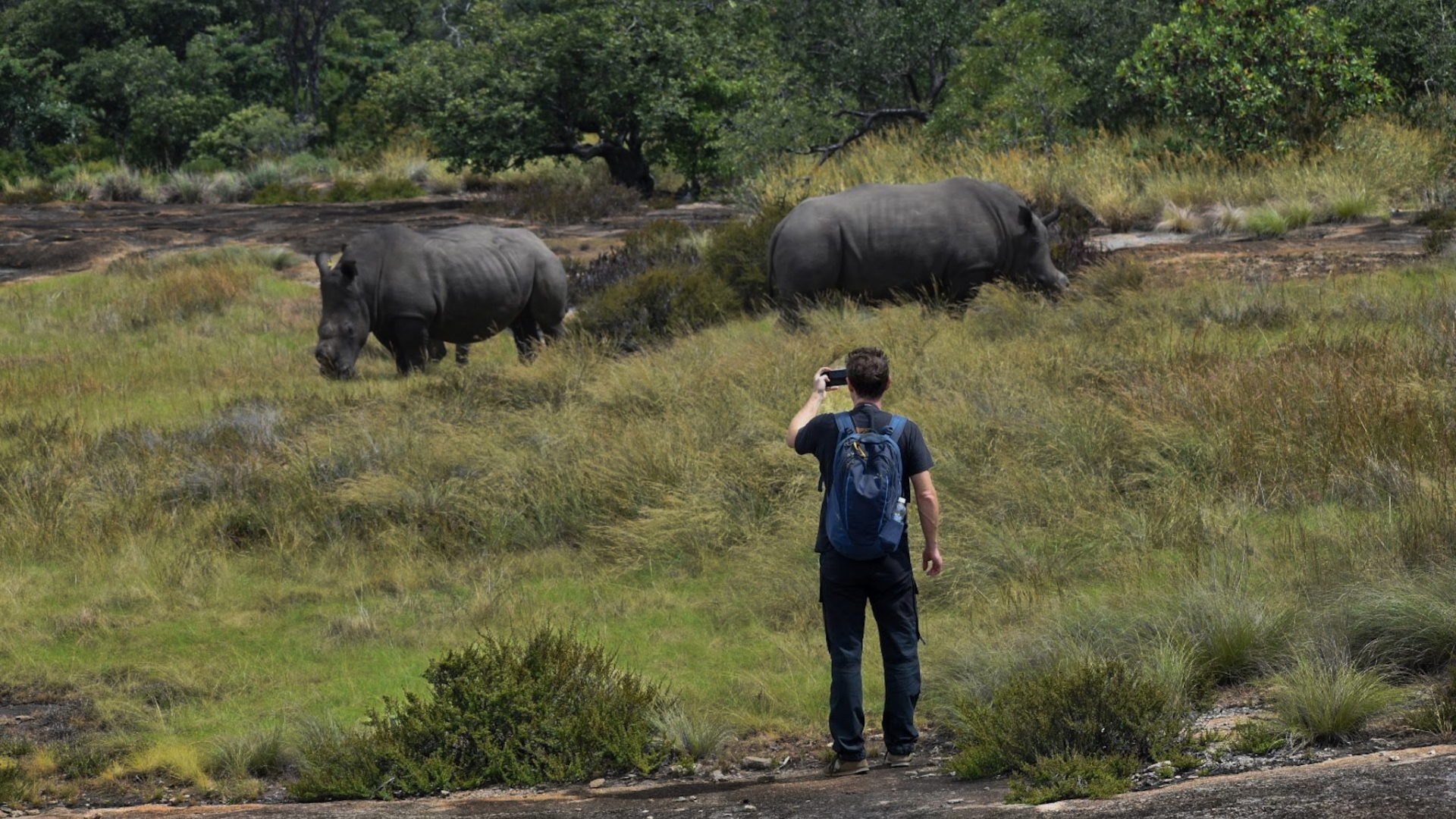 A lodge guide tracking rhino on foot through granite country in the Matobo Hills