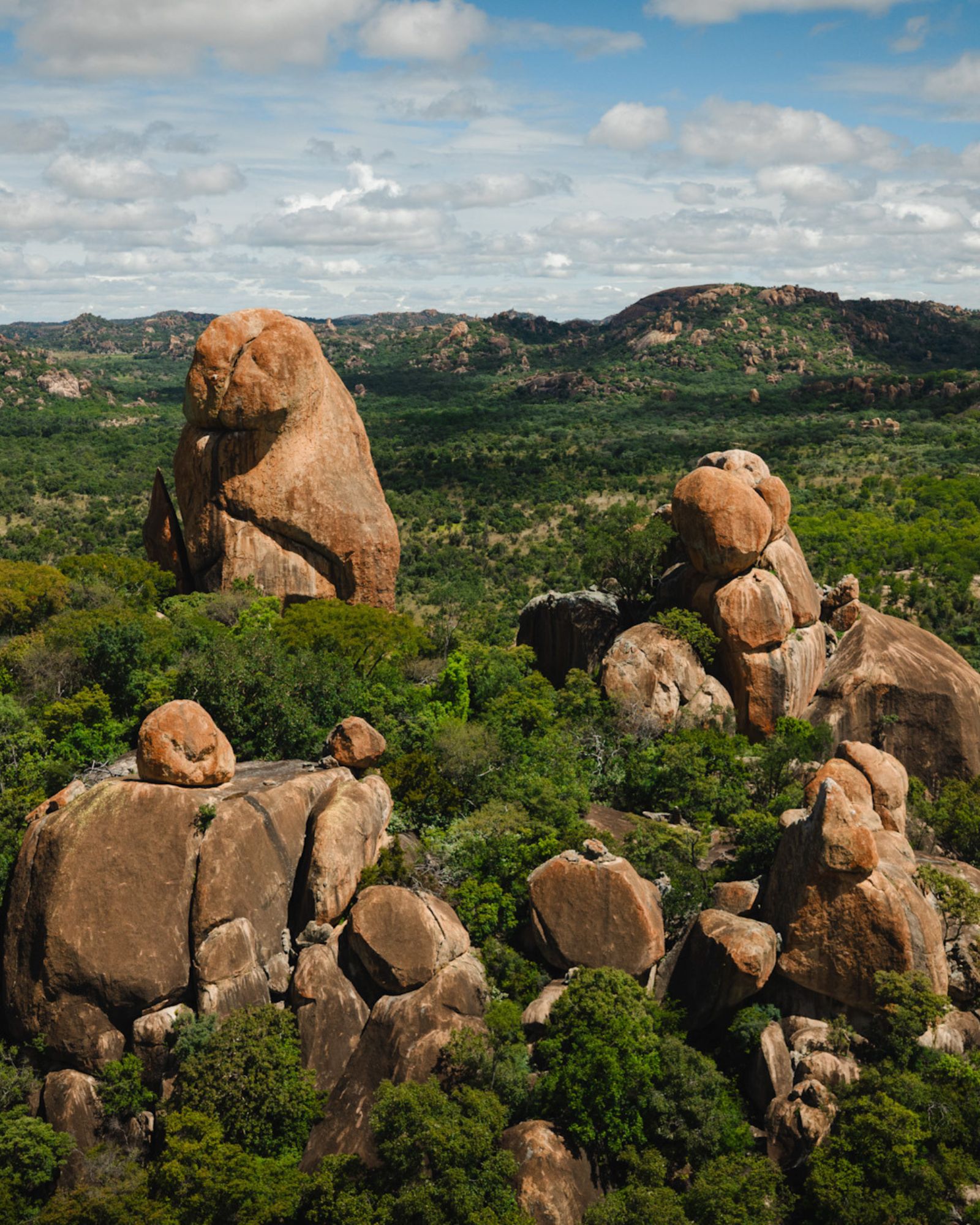 Balancing granite kopjes rising from green-season woodland in the Matobo Hills