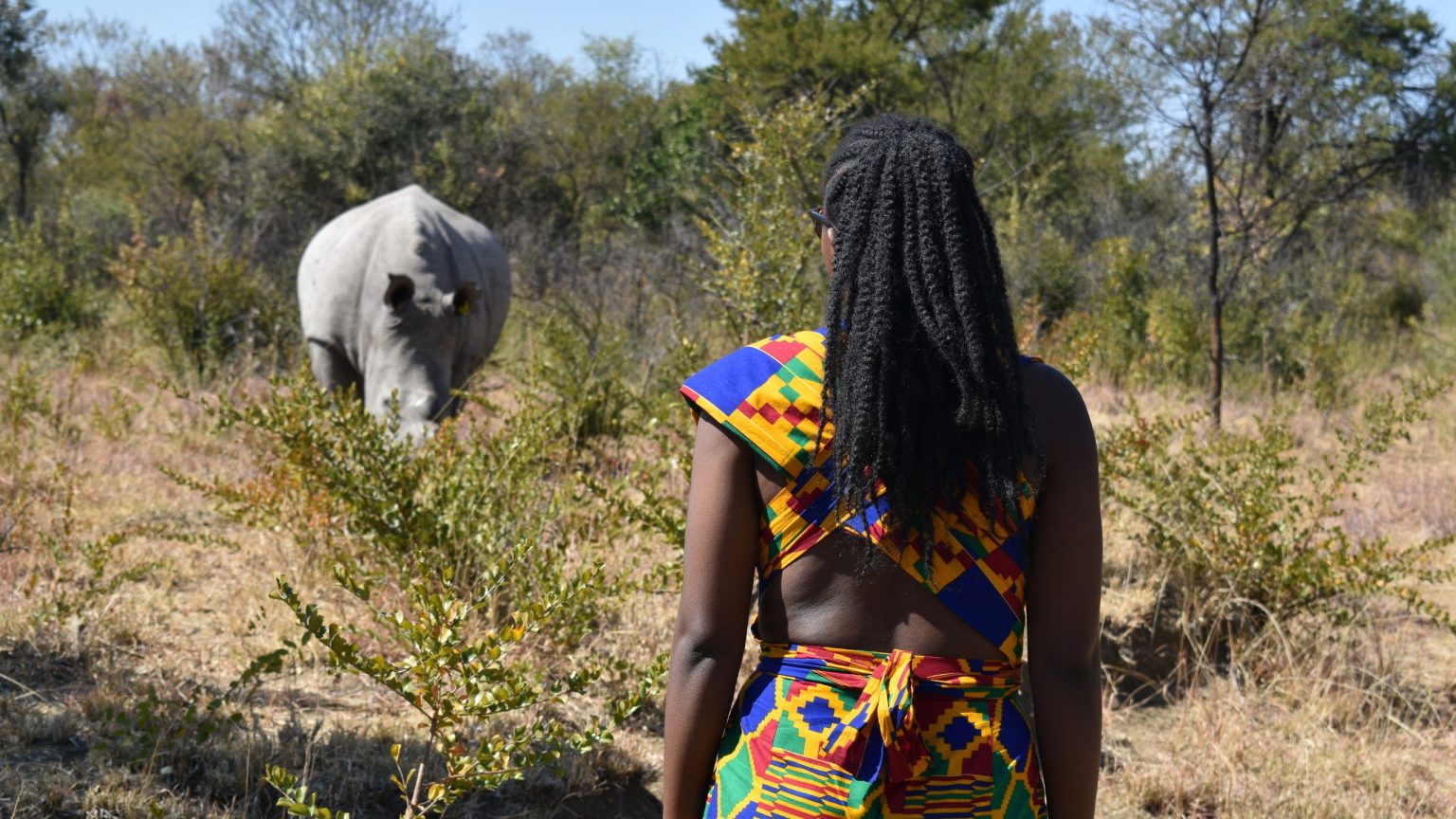A guest in a bright print dress standing still in the bush, watching a white rhino graze