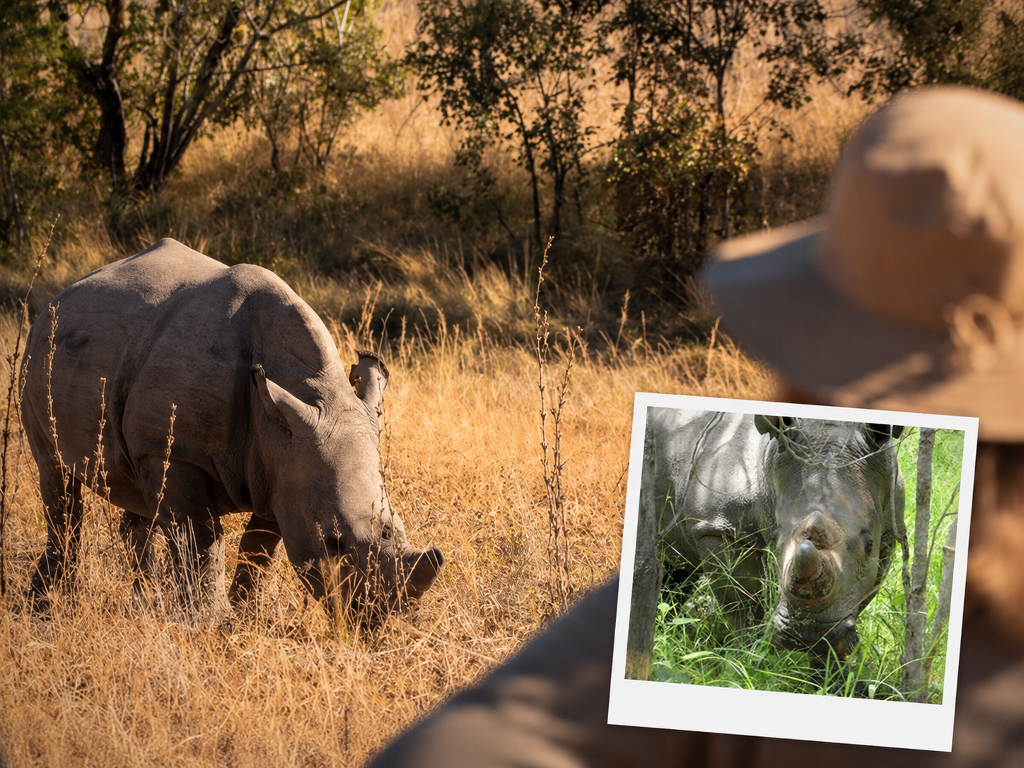 Rhino tracking activity in Matobo during winter school holidays